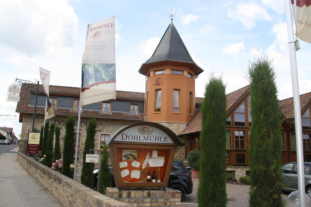 Dohlmühle Gästehaus&Weingut Flonheim Exterior foto