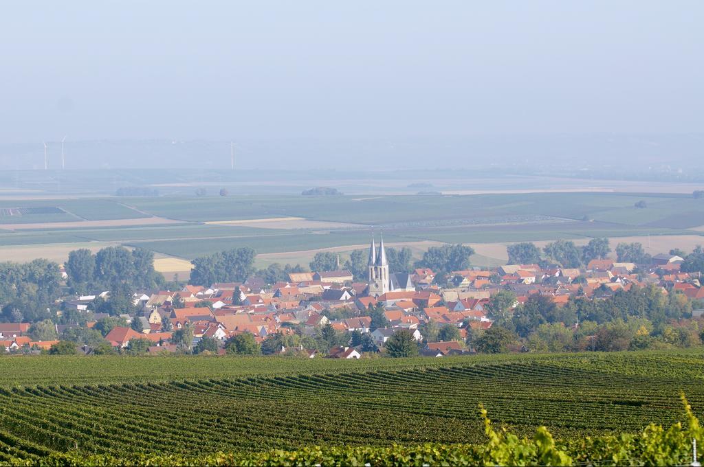 Dohlmühle Gästehaus&Weingut Flonheim Exterior foto