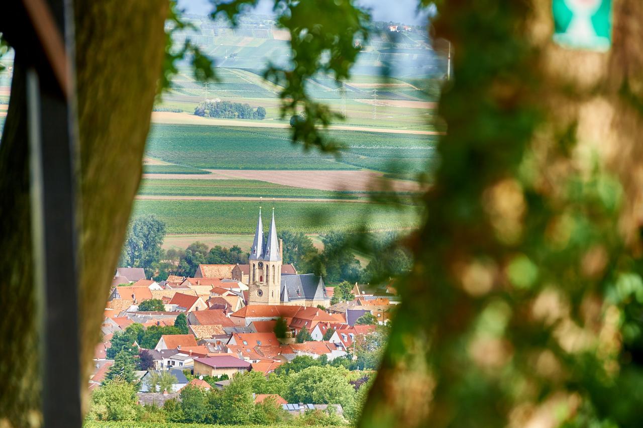 Dohlmühle Gästehaus&Weingut Flonheim Exterior foto