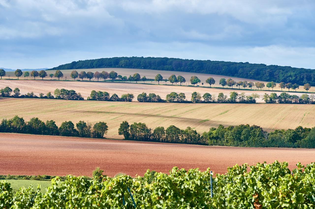 Dohlmühle Gästehaus&Weingut Flonheim Exterior foto